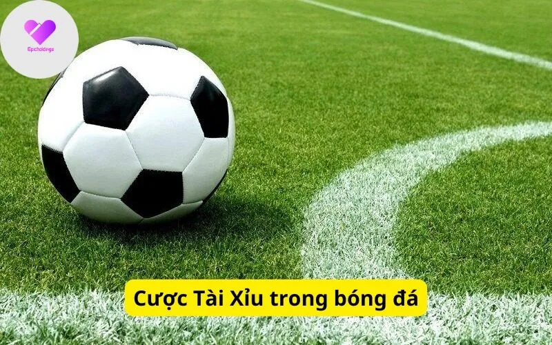 Cược Tài Xỉu trong bóng đá