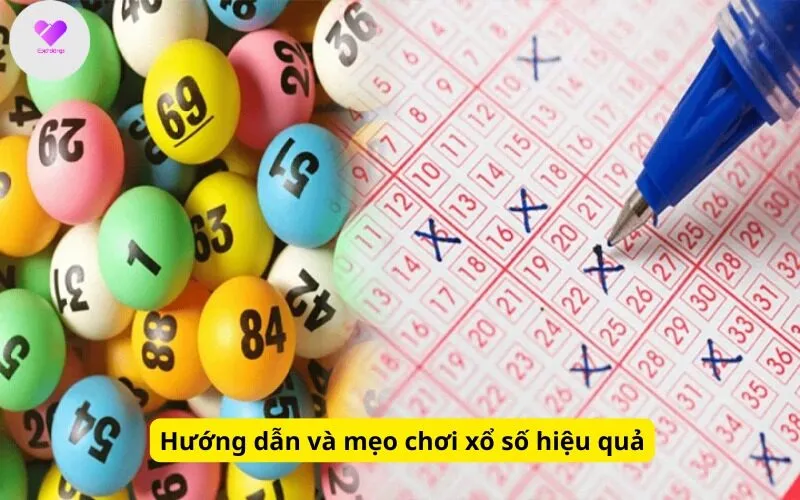 Hướng dẫn và mẹo chơi xổ số hiệu quả