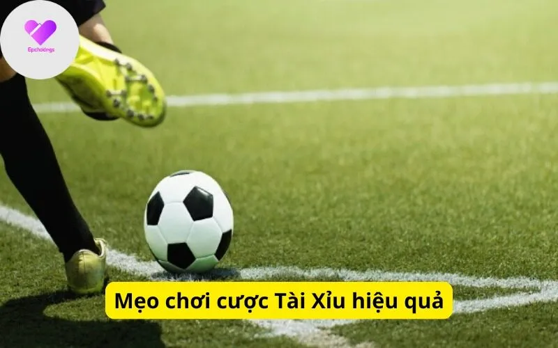 Mẹo chơi cược Tài Xỉu hiệu quả