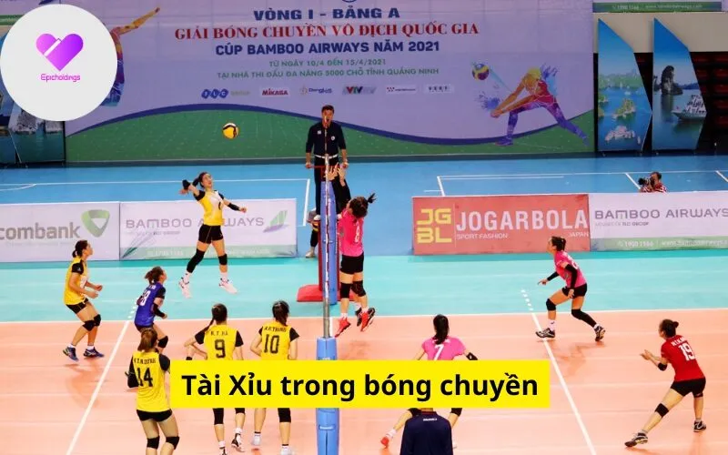 Tài Xỉu trong bóng chuyền