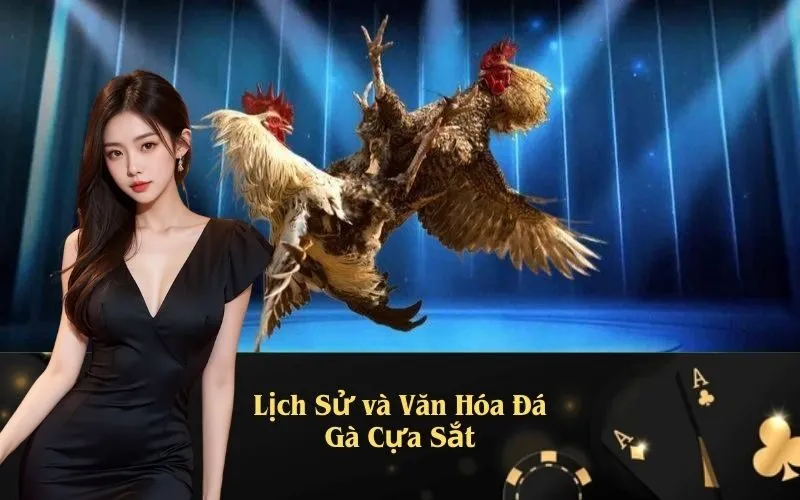 Lịch Sử và Văn Hóa Đá Gà Cựa Sắt